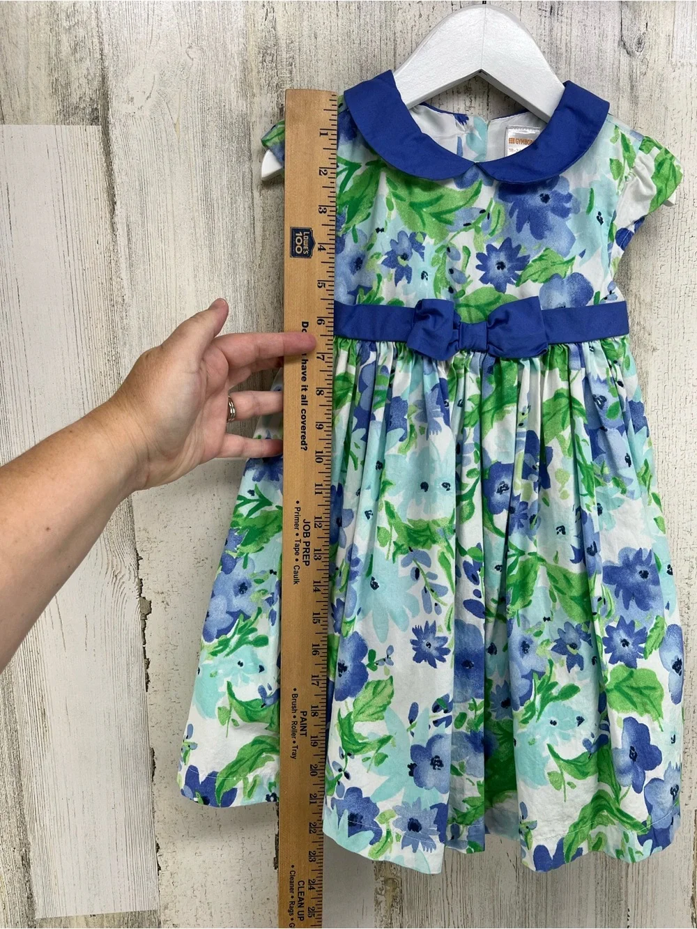 Gymboree blue green